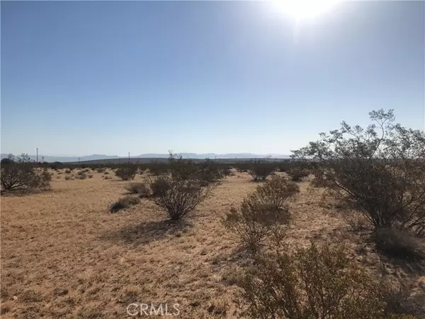 Joshua Tree, CA 92252,61530 Orion DR