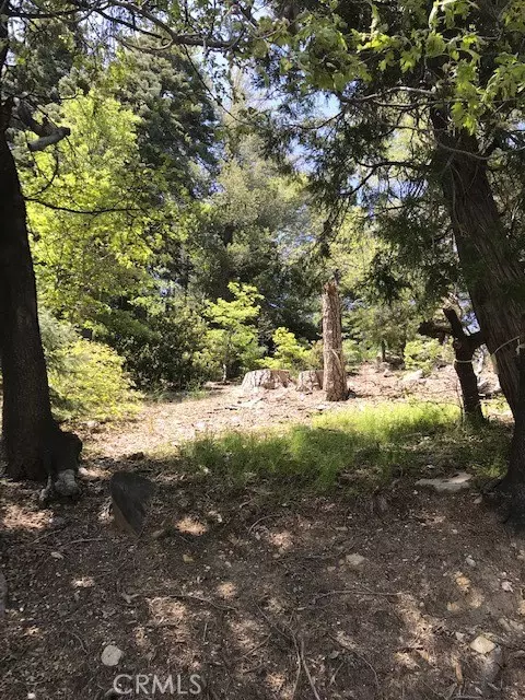 Lake Arrowhead, CA 92352,248 Old Toll RD