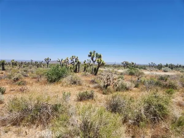 Llano, CA 93544,0 Ave X6 212 ST