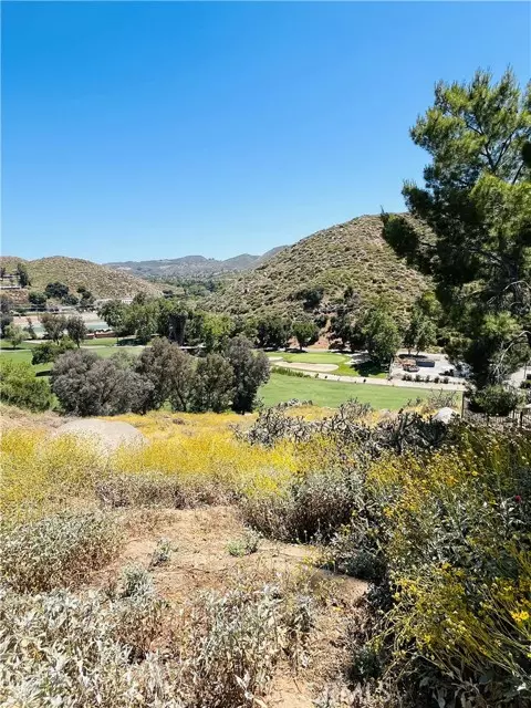 Canyon Lake, CA 92587,30789 Early Round DR