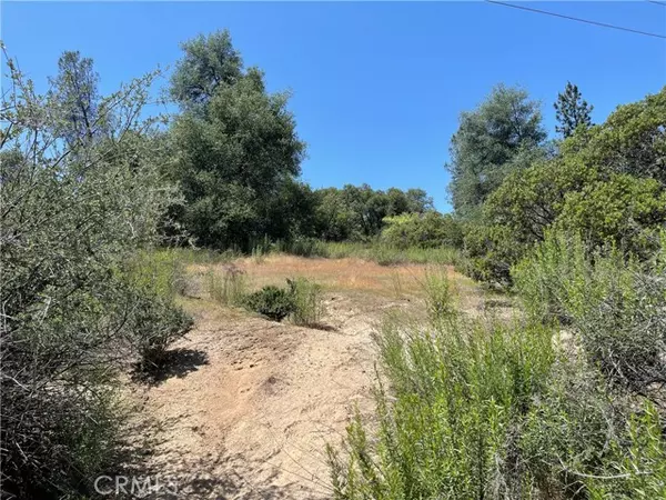 Oakhurst, CA 93644,30 Hangtree Ct