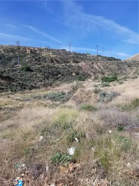 Newhall, CA 91321,0 Vacant Land