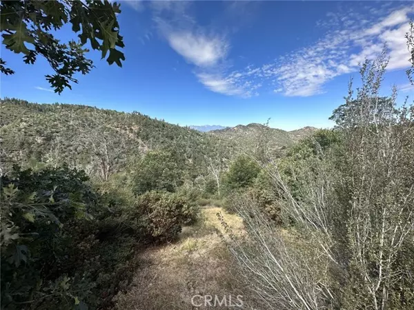 Lake Arrowhead, CA 92352,0 Edge Cliff DR