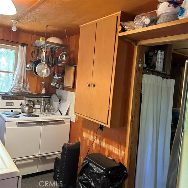 Angelus Oaks, CA 92305,119 Barton Flats TRL