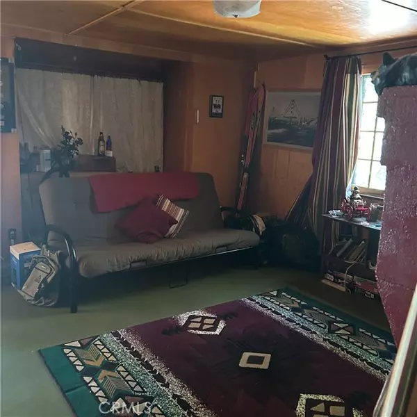 Angelus Oaks, CA 92305,119 Barton Flats TRL