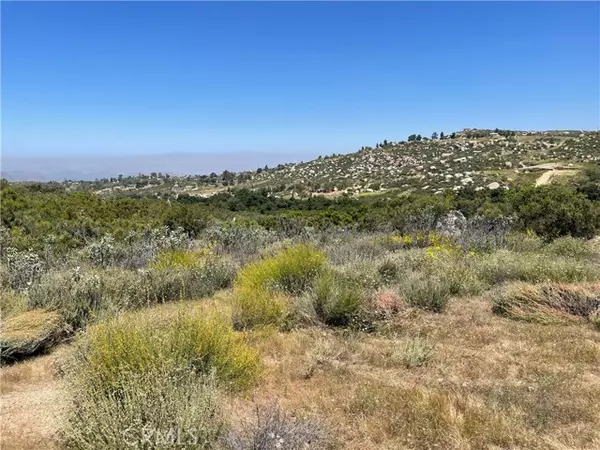 Hemet, CA 92544,0 Tanager