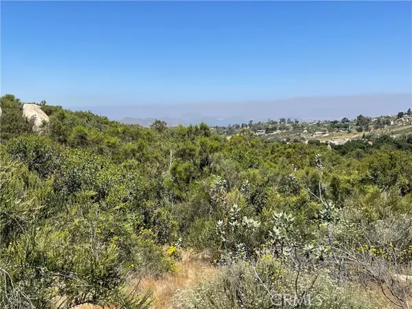 Hemet, CA 92544,0 Tanager