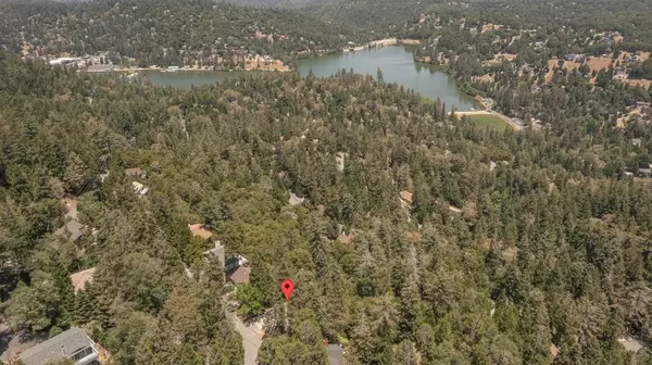 Crestline, CA 92325,24544 Altdorf DR