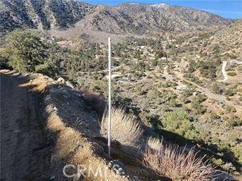 3036 39105 Scenic DR, Wrightwood, CA 92397