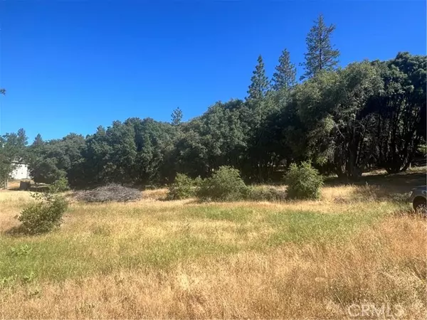 6065 Monte Vista LN, Mariposa, CA 95338