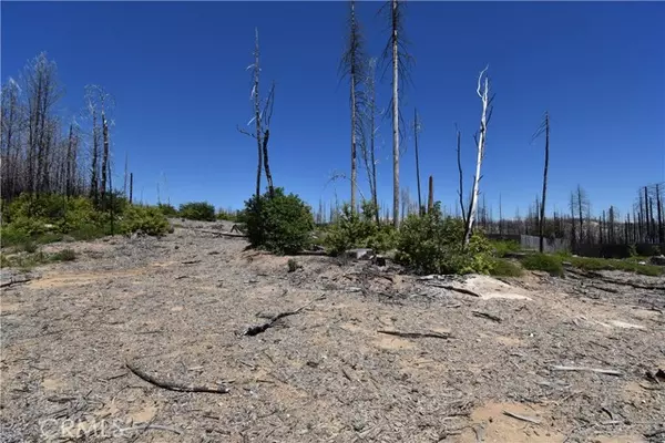 Berry Creek, CA 95916,0 Bald Rock RD