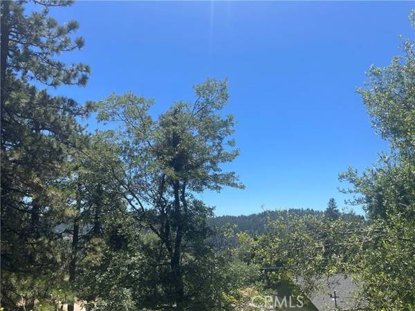 21972 Tower Heights RD, Cedarpines Park, CA 92322