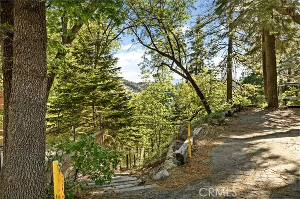 Lake Arrowhead, CA 92352,28991 Palisades DR