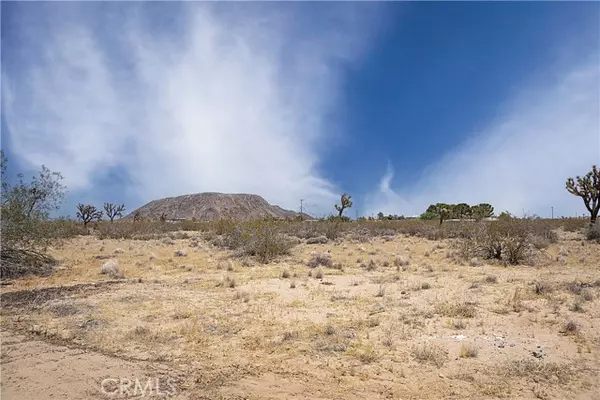 Landers, CA 92285,1933 Rocky Acres RD