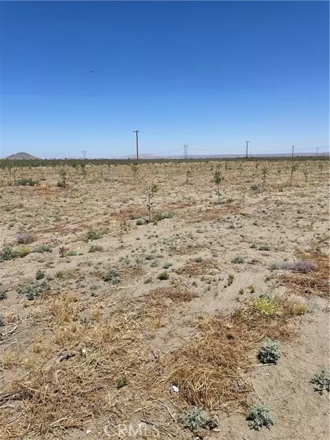 Phelan, CA 92371,14545 Oasis RD