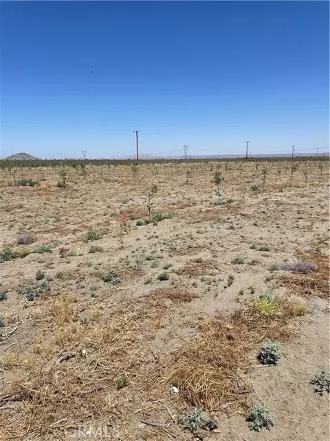 Phelan, CA 92371,14545 Oasis RD