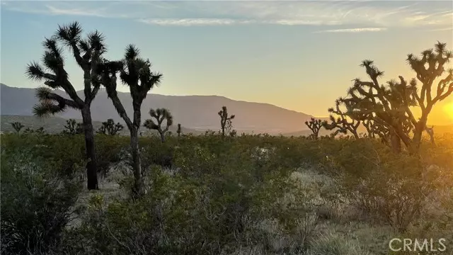 0 Vac/Llano Cut Off/Vic 180th St E, Palmdale, CA 93591