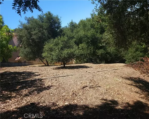 Chino Hills, CA 91709,0 Ravine LN