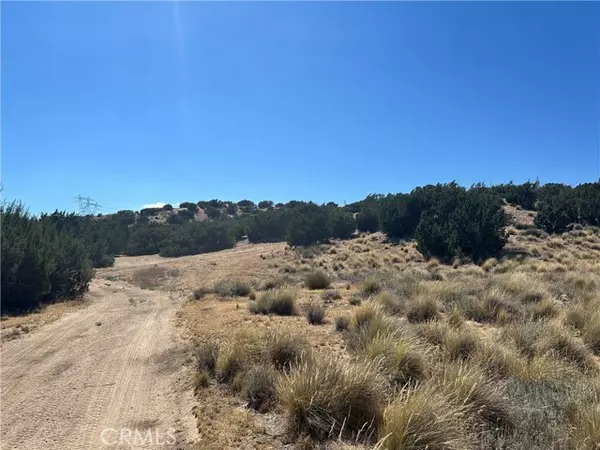 Hesperia, CA 92345,0 Near Las Flores RD