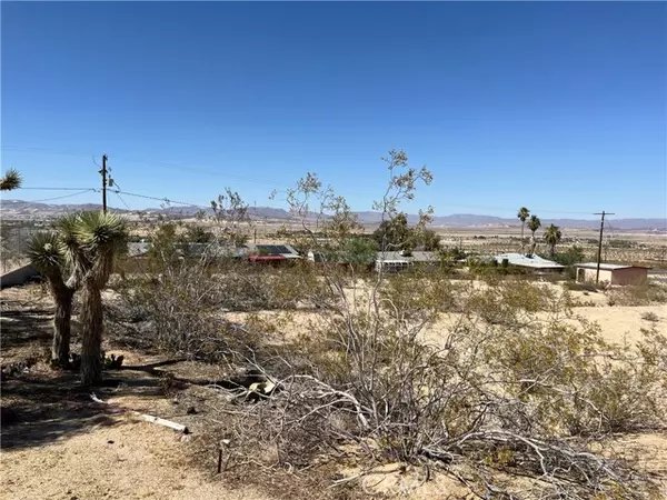 Twentynine Palms, CA 92277,0 Crestview DR