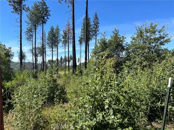 Oroville, CA 95965,3520 Hoffman RD