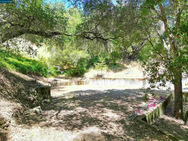 Orinda, CA 94563,38 Oak Ridge Ln