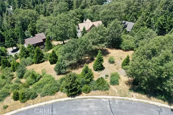 Lake Arrowhead, CA 92352,137 Mill Pond RD