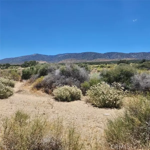 Llano, CA 93544,0 E Ave Z