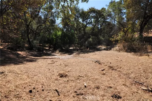 Oroville, CA 95966,205 Cynthiann LN