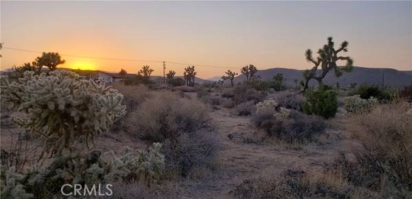 0 Canton ST, Yucca Valley, CA 92284