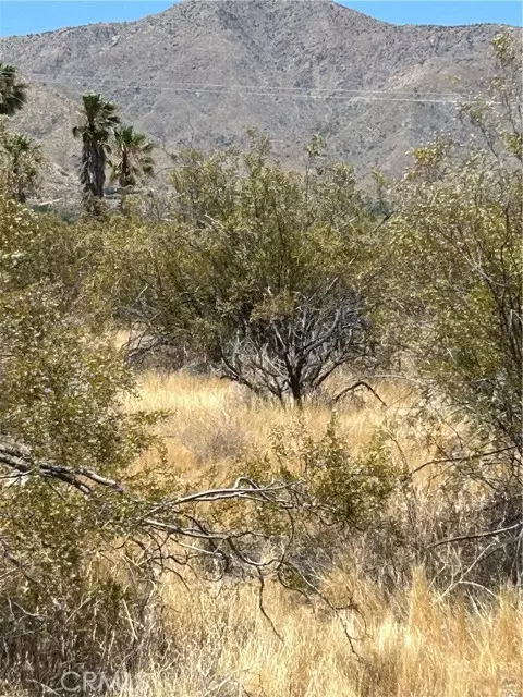 Morongo Valley, CA 92256,0 Green Trl.