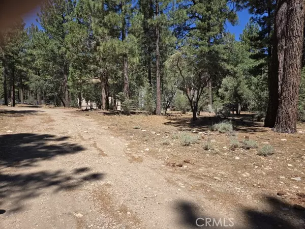 Big Bear City, CA 92314,0 Pine Ridge LN