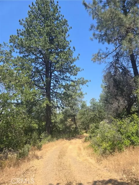 North Fork, CA 93643,0 Wild Iris