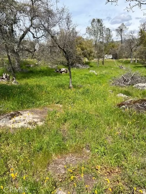 Coarsegold, CA 93614,0 Lot 895 John Muir DR