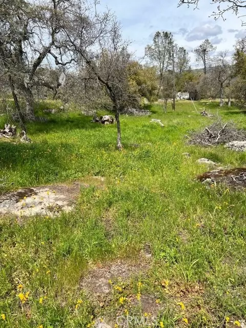 0 Lot 895 John Muir DR, Coarsegold, CA 93614