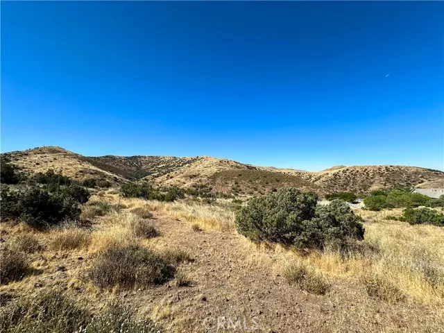 0 Big Springs RD, Agua Dulce, CA 91350