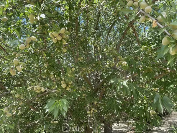 1 S Butte AVE, Kerman, CA 93630