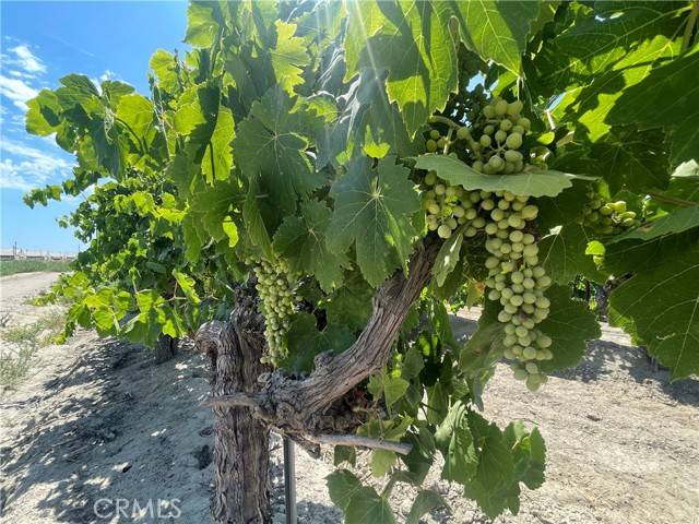 Kerman, CA 93630,1 S Plumas AVE