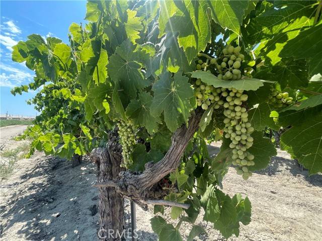 Kerman, CA 93630,1 S Plumas AVE