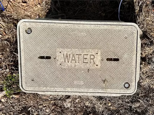 Kelseyville, CA 95451,5010 Larkspur WAY