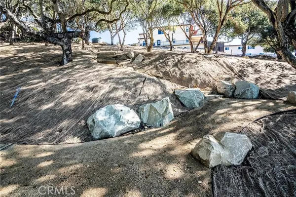 Pismo Beach, CA 93449,991 Visalia ST