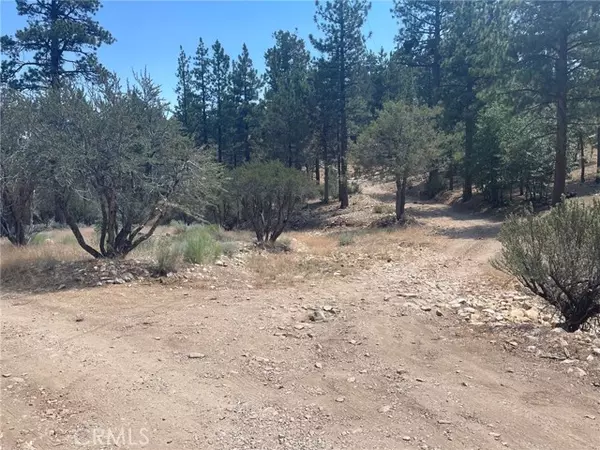 Big Bear City, CA 92314,0 S Saw Mill DR