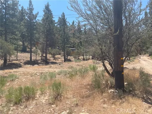 Big Bear City, CA 92314,0 S Saw Mill DR