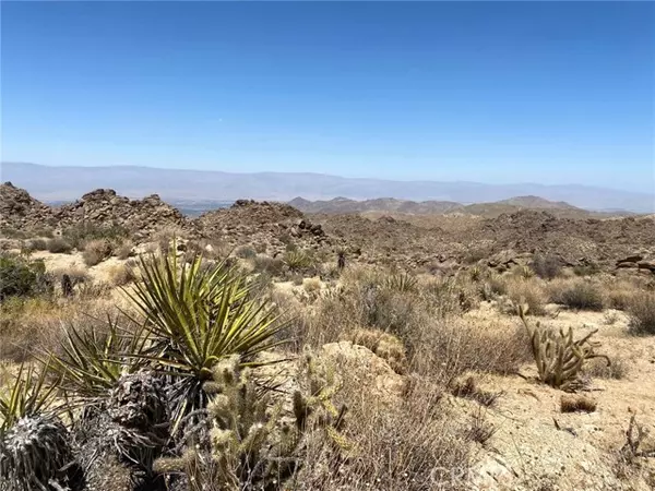 Mountain Center, CA 92260,15 Desert Calico WAY