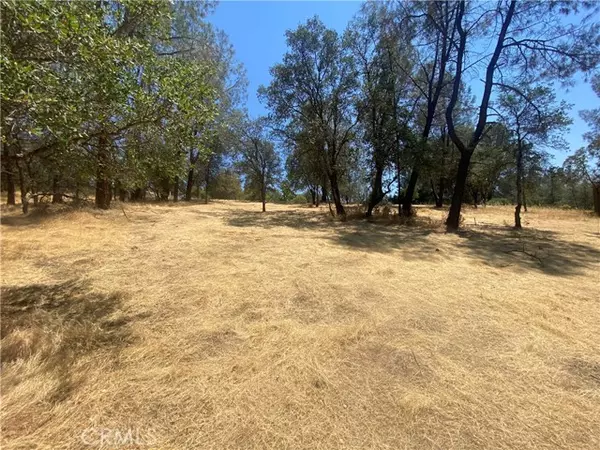 Oroville, CA 95966,0 Lemon Hill DR