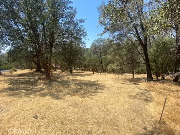 Oroville, CA 95966,0 Lemon Hill DR