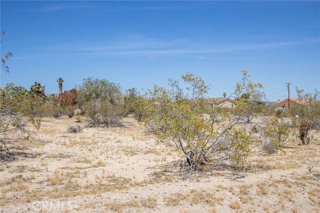 Joshua Tree, CA 92252,63000 Jadeite ST
