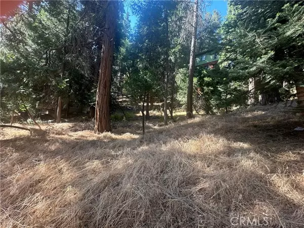 Crestline, CA 92325,0 Valle DR