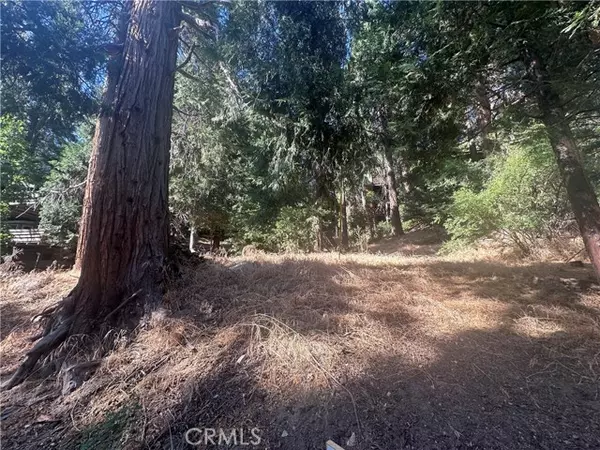 Crestline, CA 92325,0 Valle DR