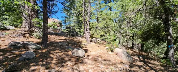 Running Springs, CA 92382,32311 FERN DR